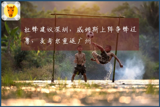 杜锋建议深圳，威姆斯上阵争锋辽粤，麦考尔重返广州
